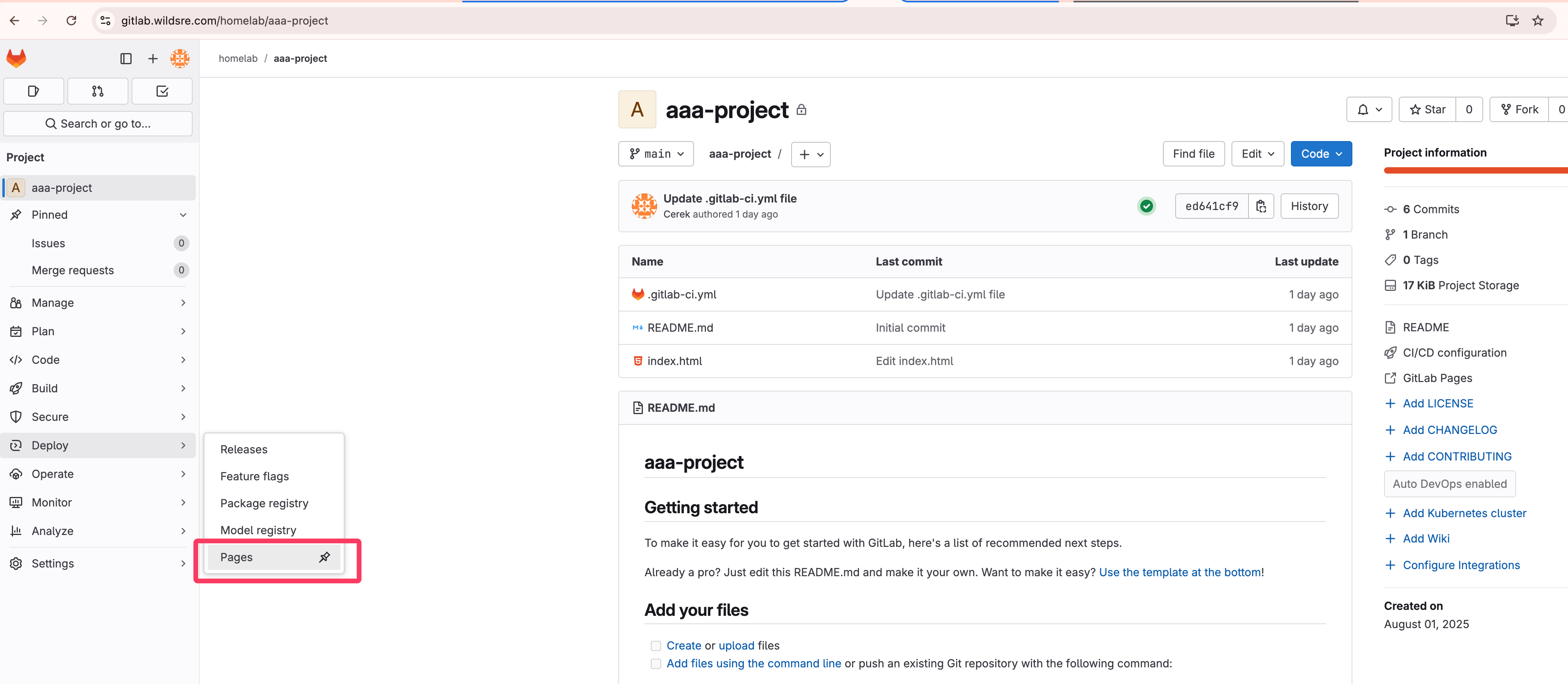 check_pages_in_repo.png
